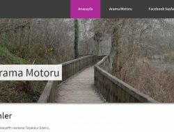 Yerli İşletim Sisteminden Yerli Arama Motoru