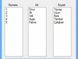 C# ile Excel’den Veri Okuma