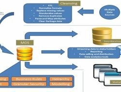 Master Data Services