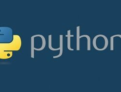 Python Developers Anket 2017 Sonuçları
